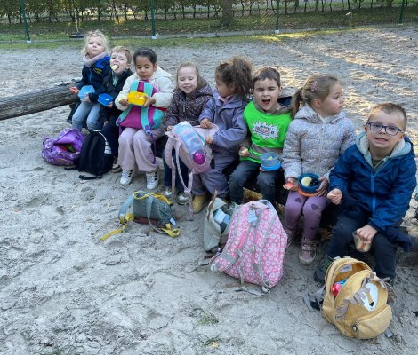 Bosuitstap naar de Merel