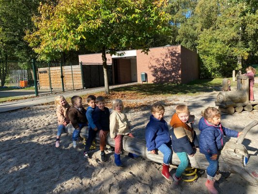 Bosuitstap naar de Merel