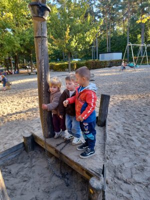 Bosuitstap naar de Merel