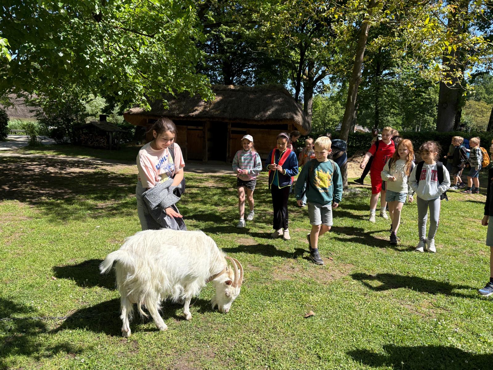 Naar Bokrijk met het 3de leerjaar!