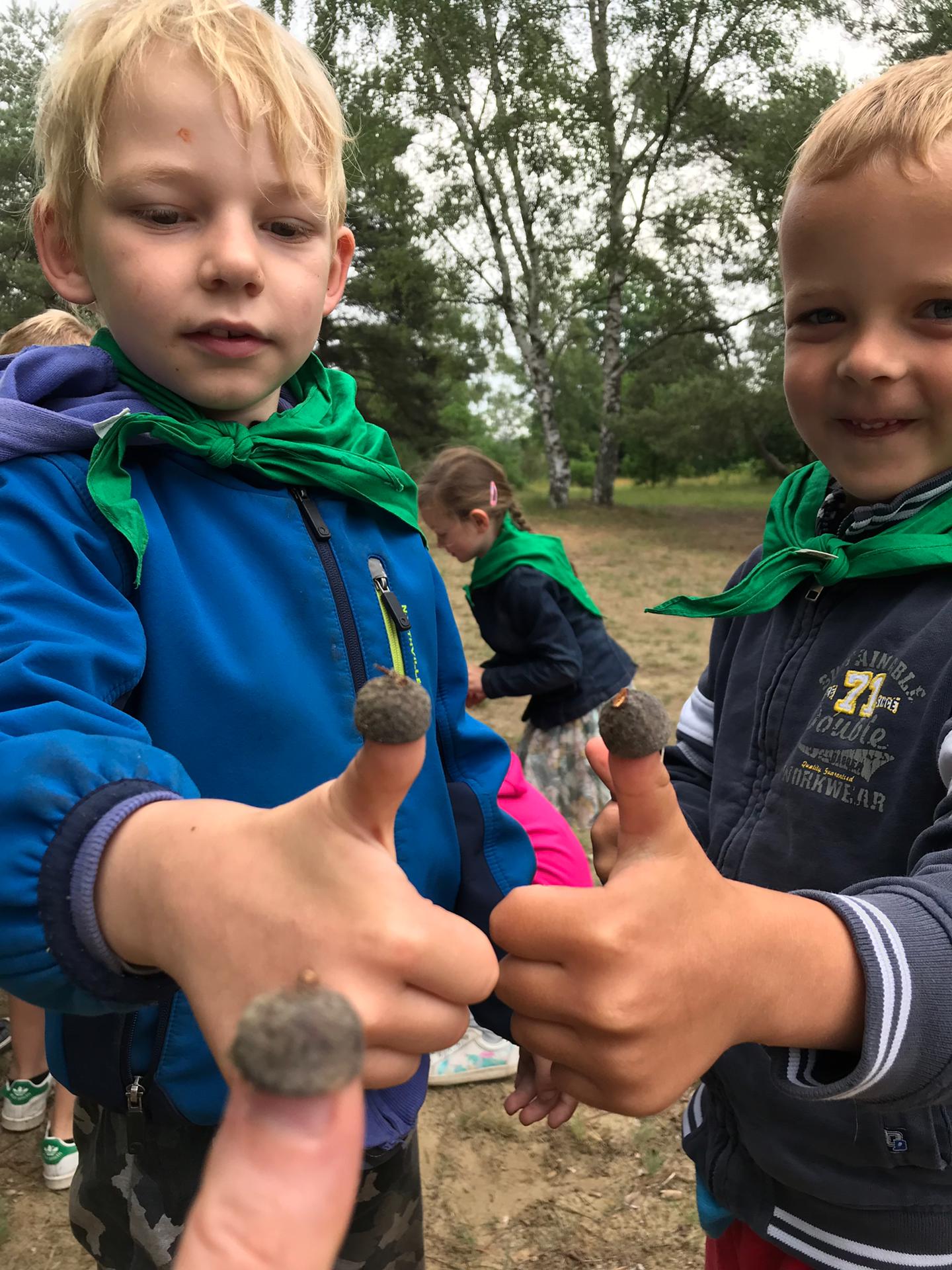 Op zoek naar keikopmannentjes in de Keiheuvel