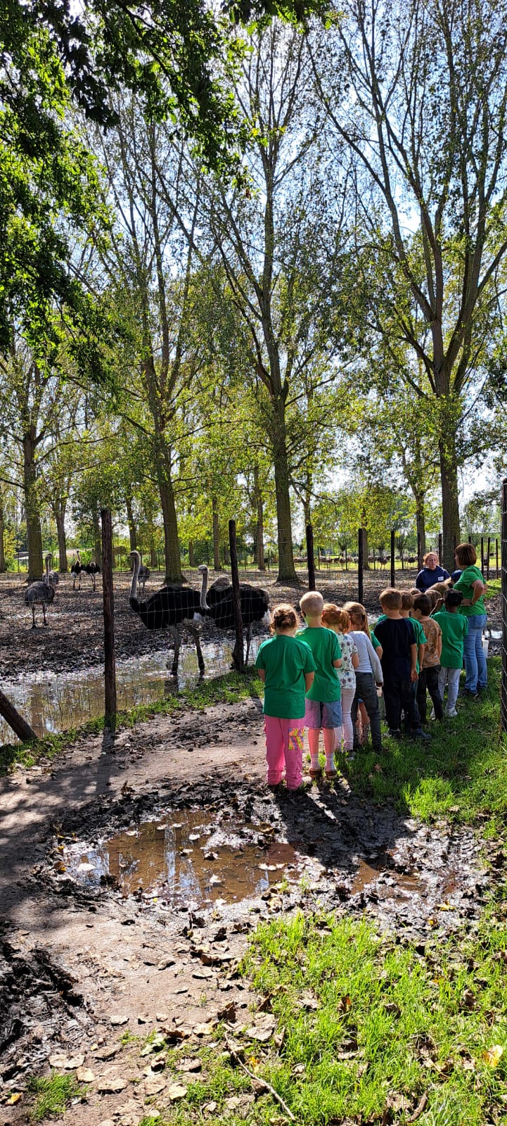 Het eerste leerjaar op uitstap naar het Struisvogelnest in Lier.