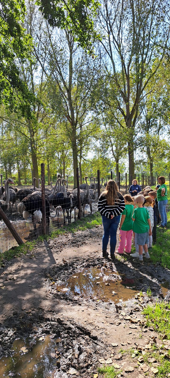 Het eerste leerjaar op uitstap naar het Struisvogelnest in Lier.