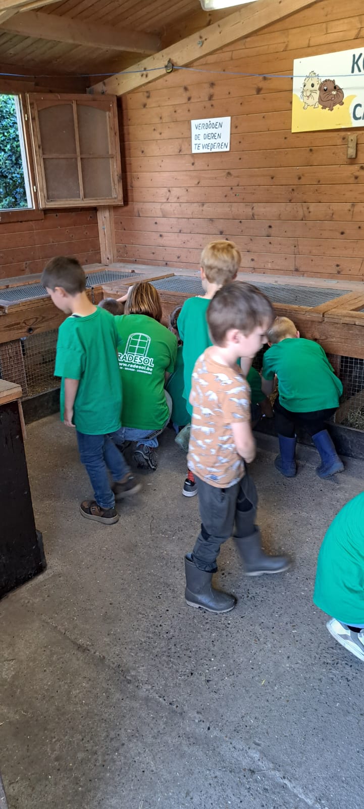 Het eerste leerjaar op uitstap naar het Struisvogelnest in Lier.