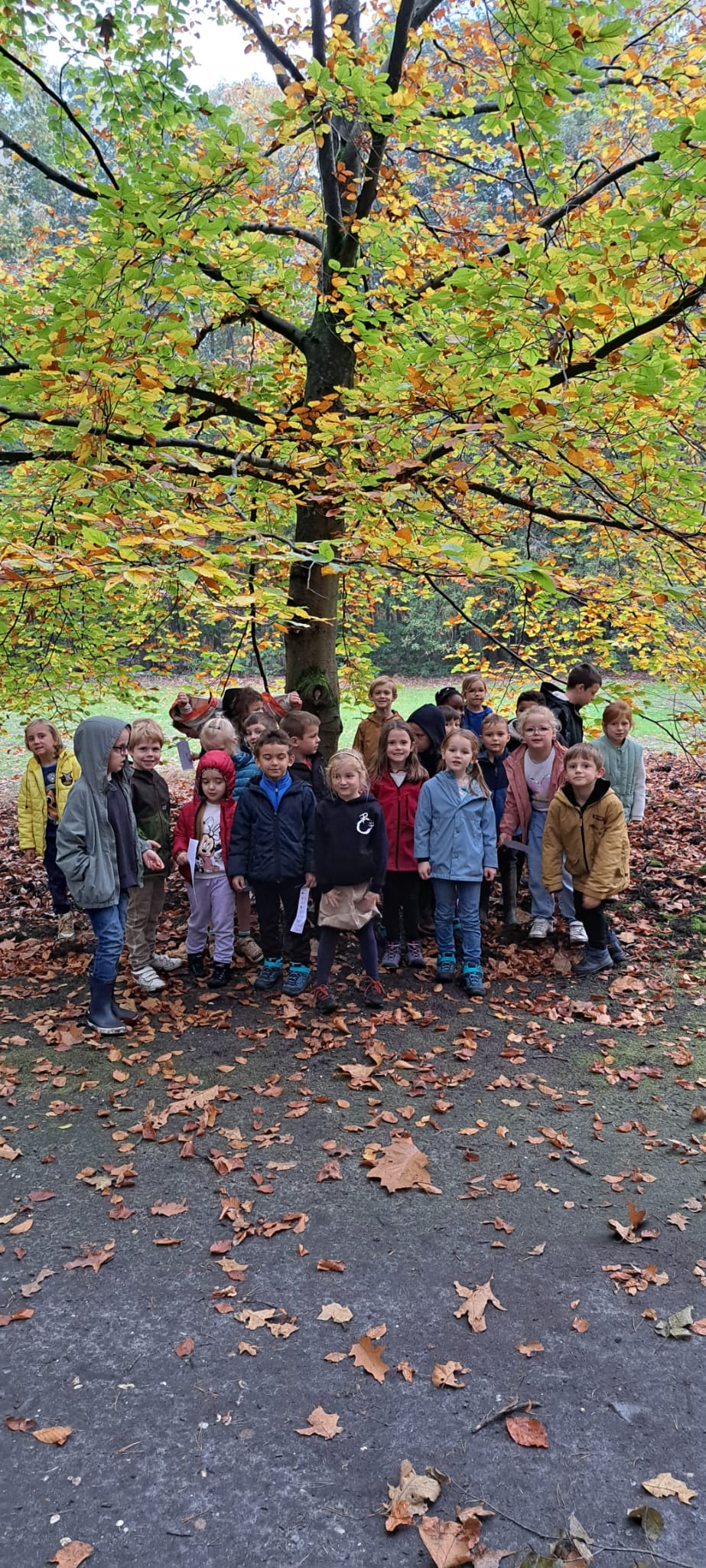 Week van het bos: Het eerste en tweede leerjaar naar het Pijnven.