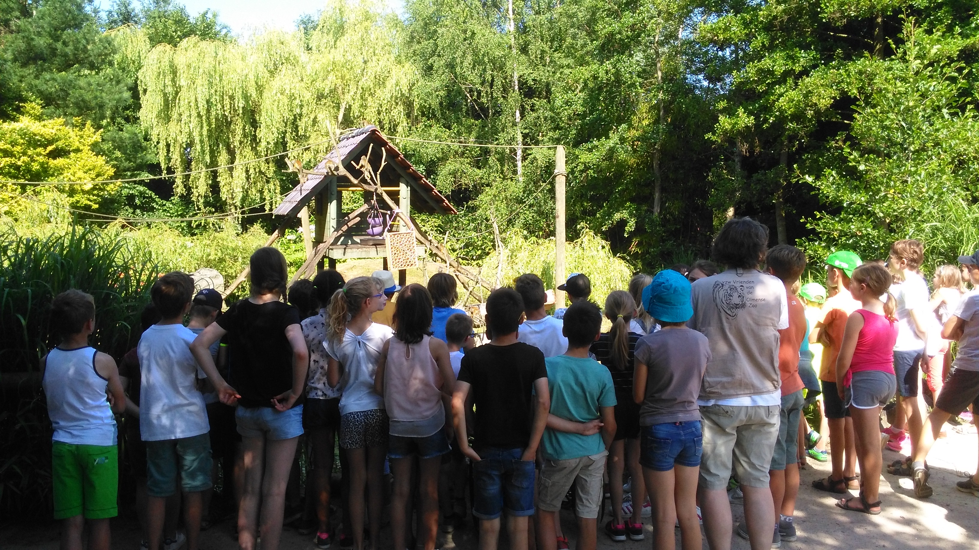 Het vierde leerjaar houdt een spreekbeurt in de Olmense Zoo!