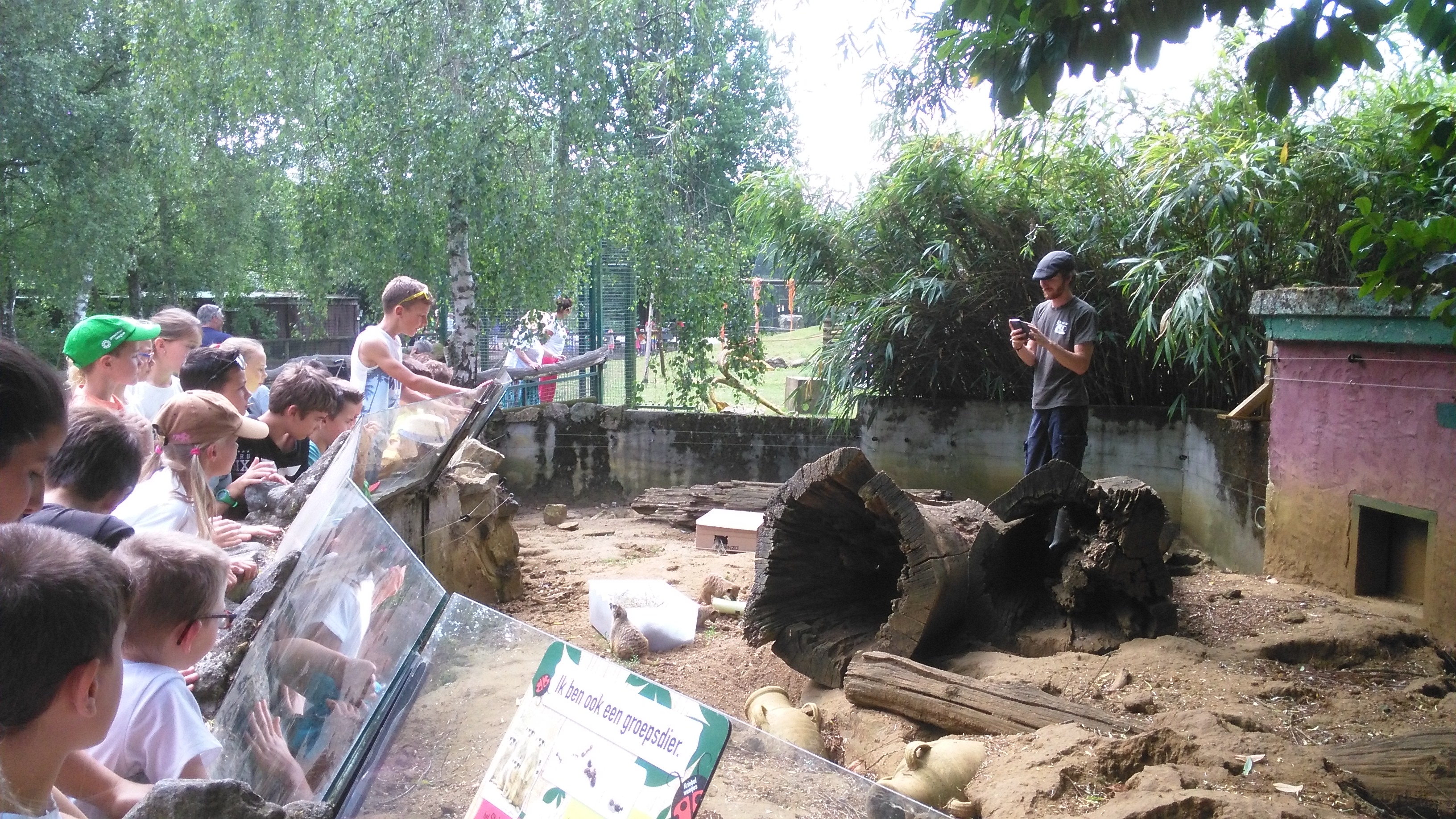 Het vierde leerjaar houdt een spreekbeurt in de Olmense Zoo!