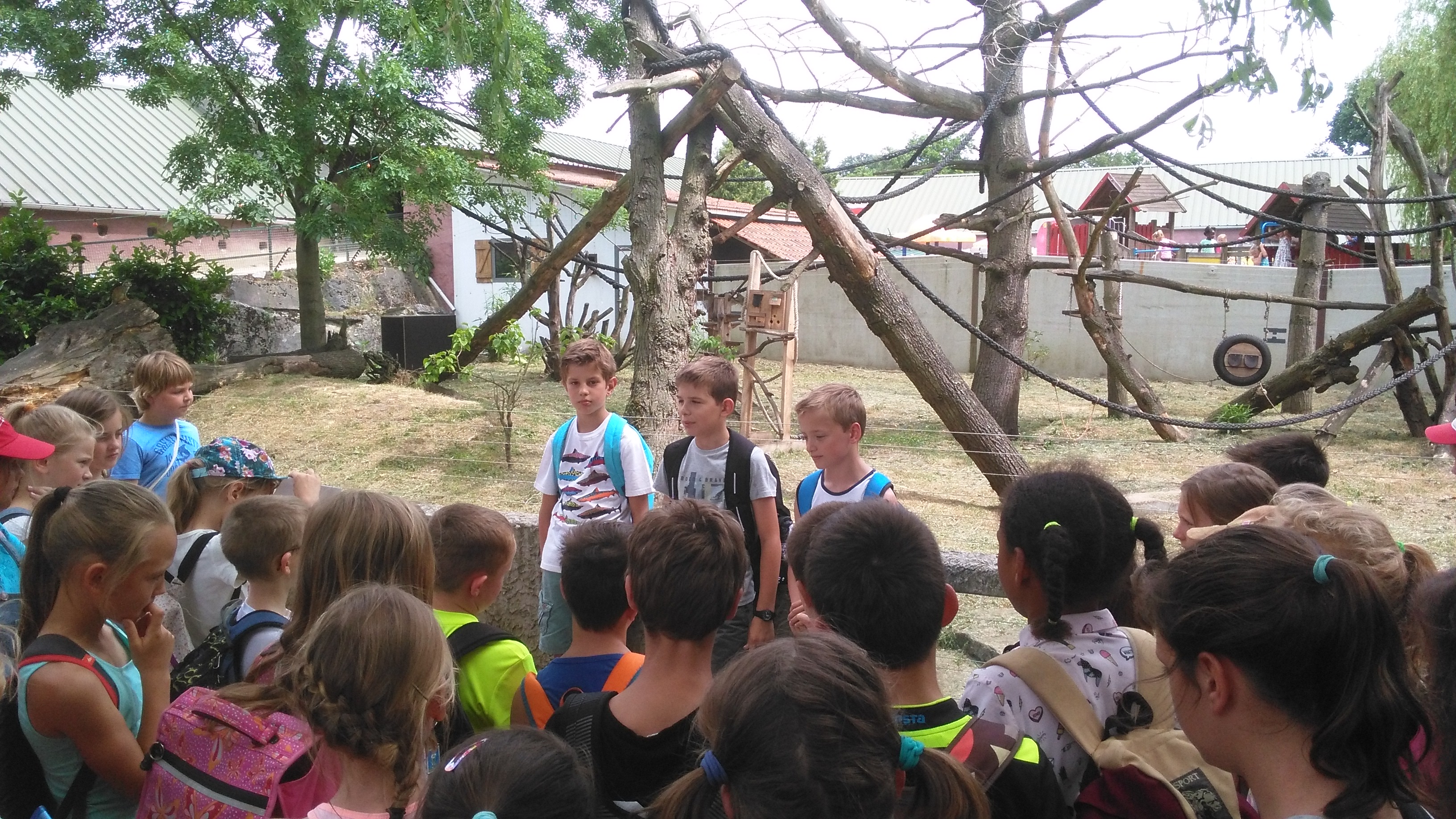 Het vierde leerjaar houdt een spreekbeurt in de Olmense Zoo!