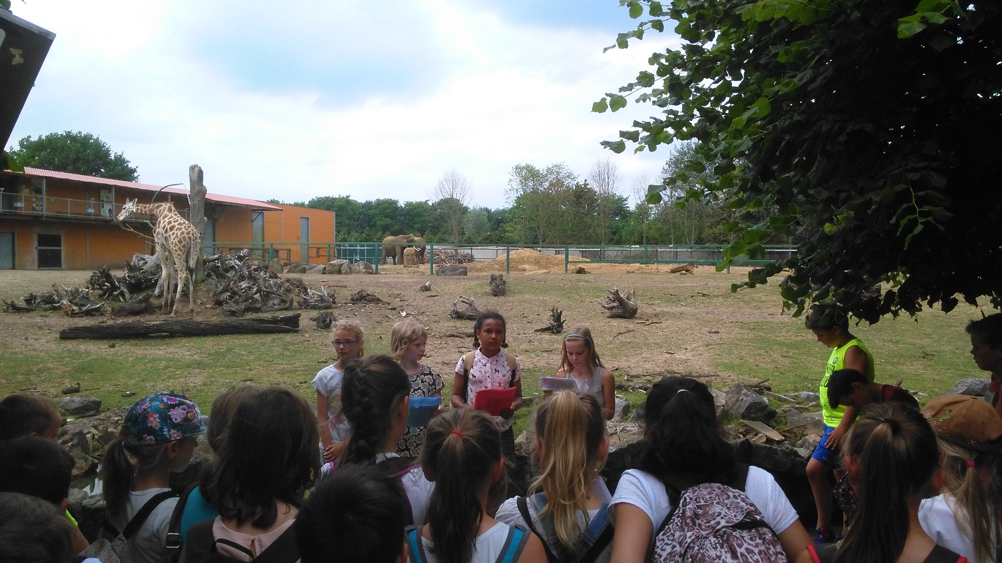 Het vierde leerjaar houdt een spreekbeurt in de Olmense Zoo!