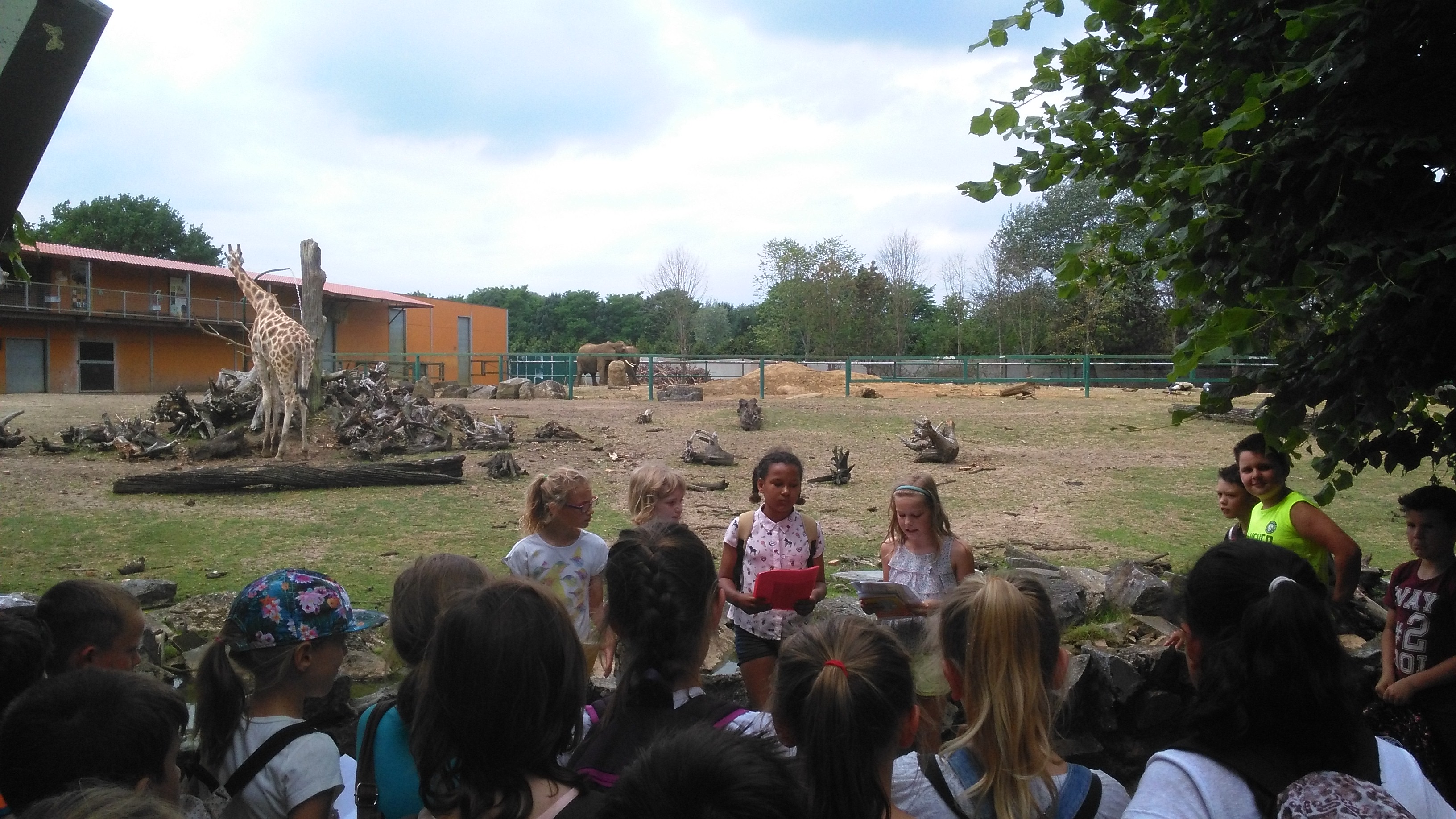 Het vierde leerjaar houdt een spreekbeurt in de Olmense Zoo!