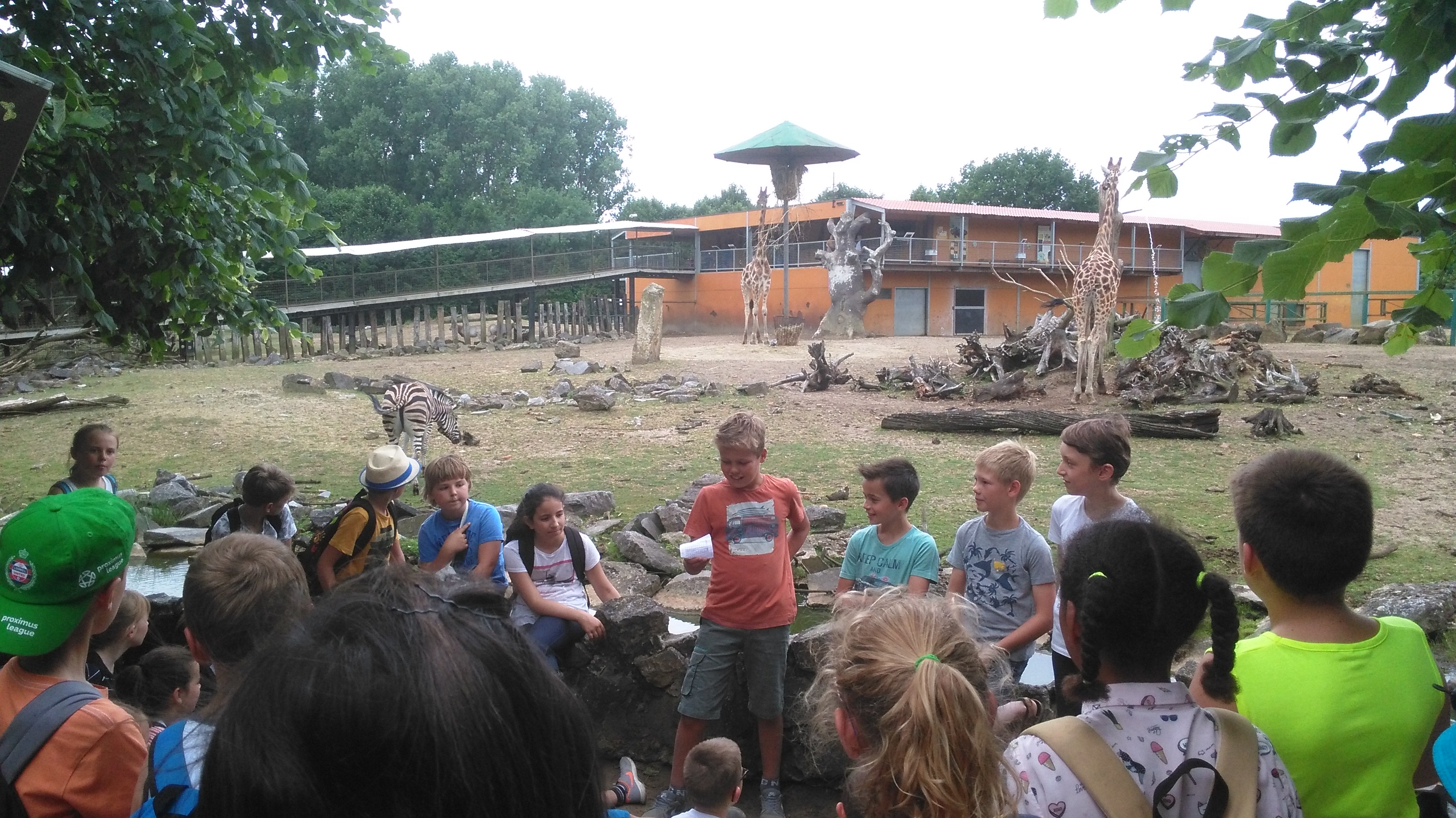 Het vierde leerjaar houdt een spreekbeurt in de Olmense Zoo!