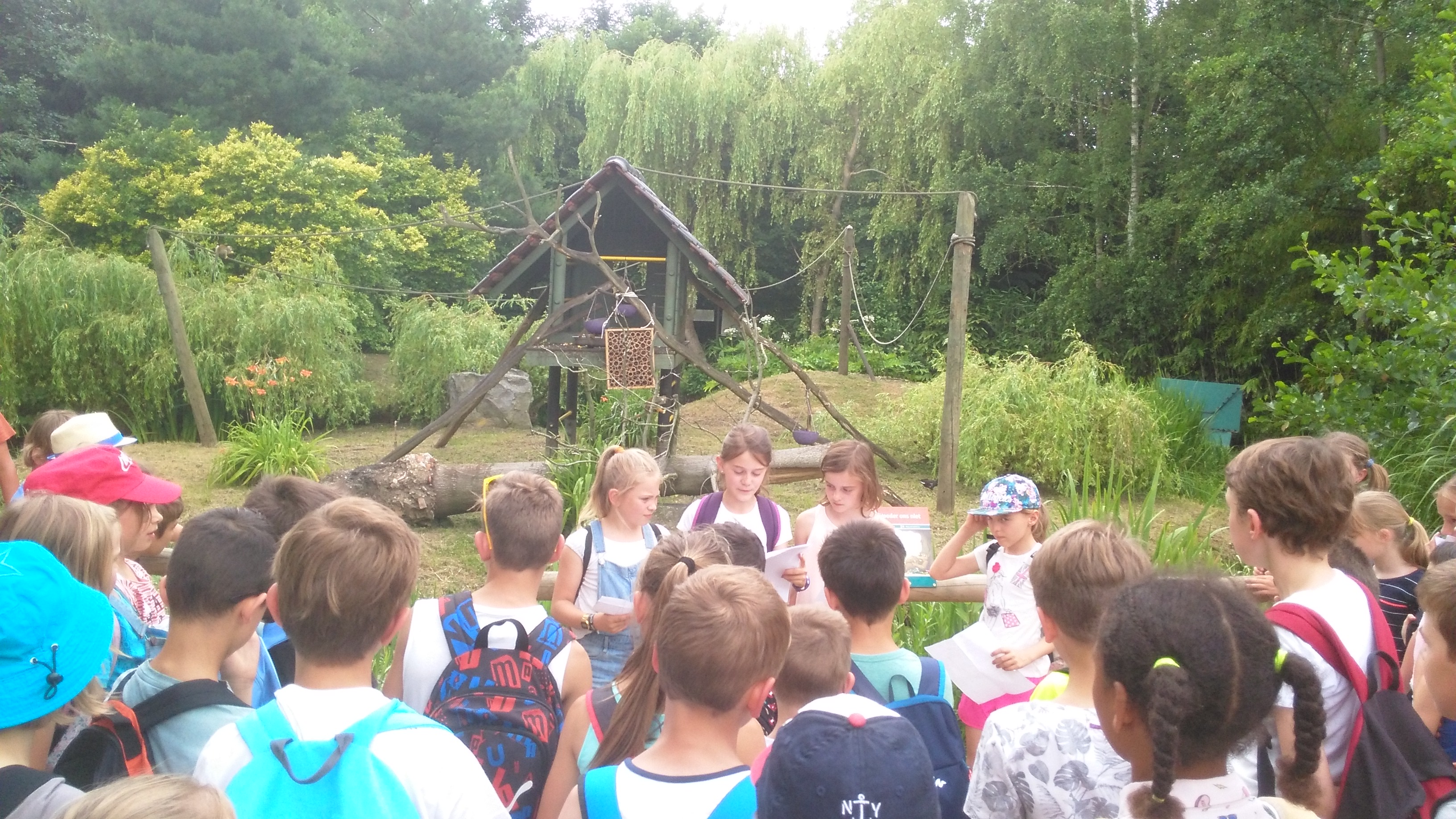 Het vierde leerjaar houdt een spreekbeurt in de Olmense Zoo!