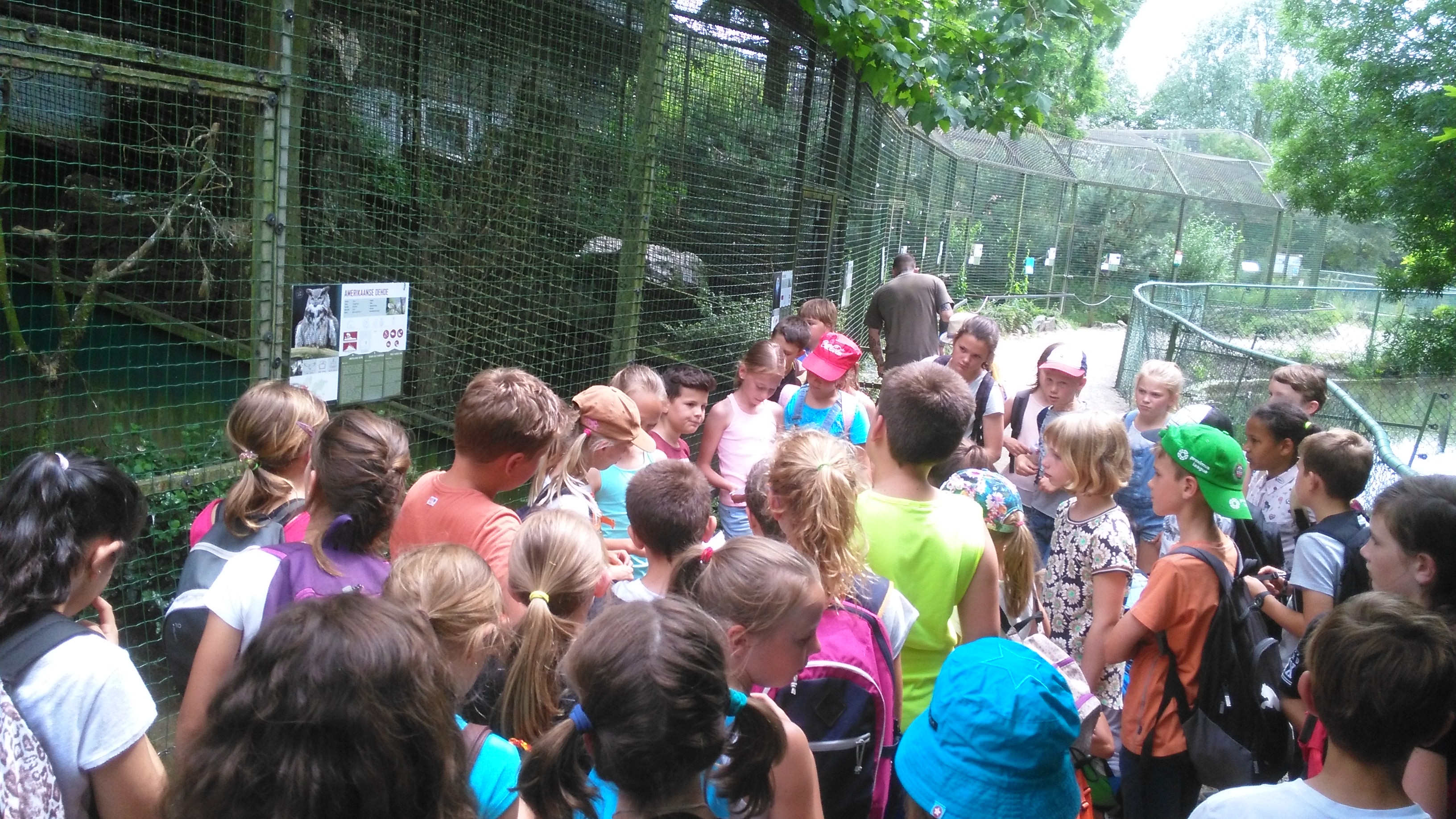 Het vierde leerjaar houdt een spreekbeurt in de Olmense Zoo!