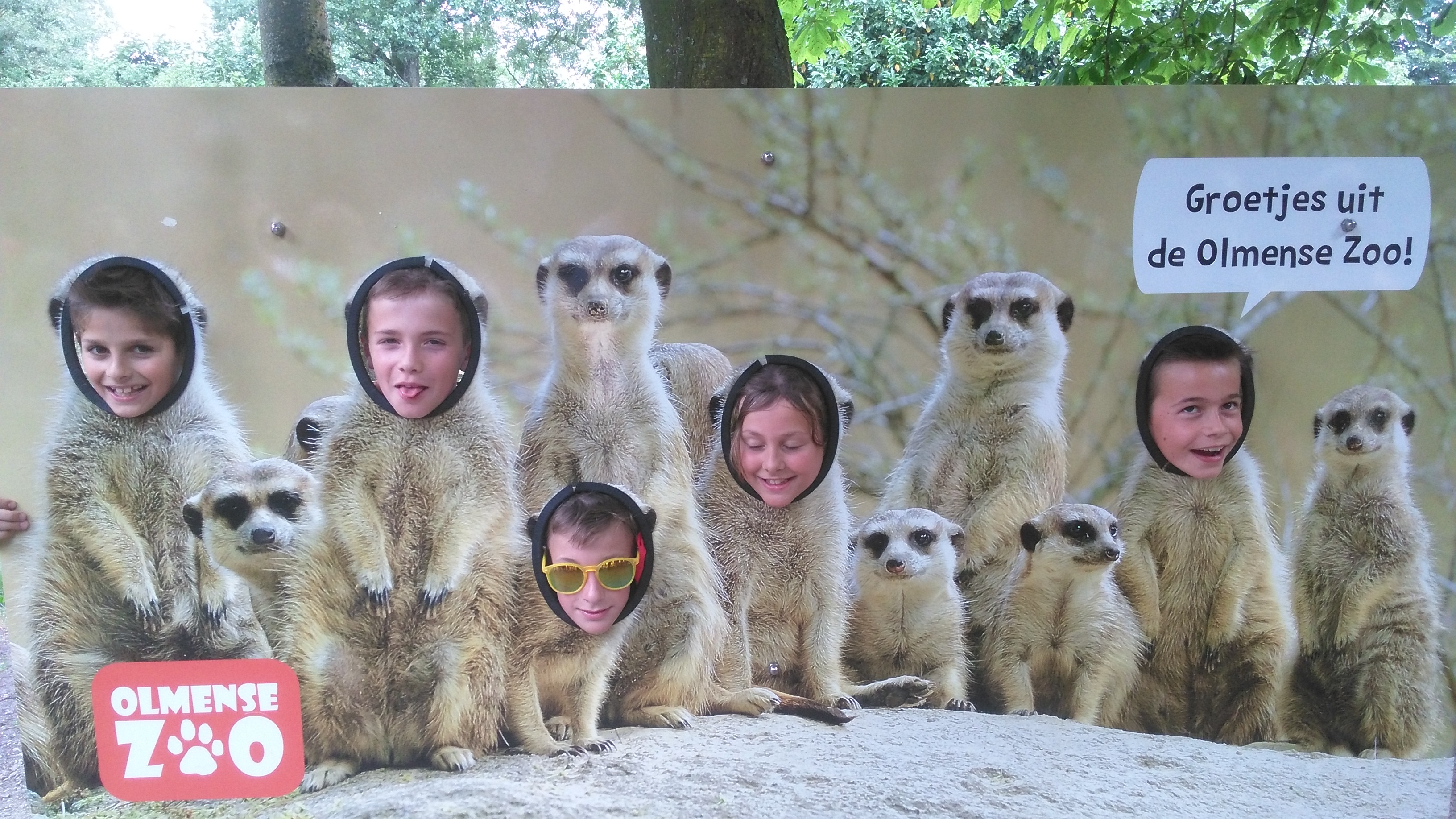 Het vierde leerjaar houdt een spreekbeurt in de Olmense Zoo!