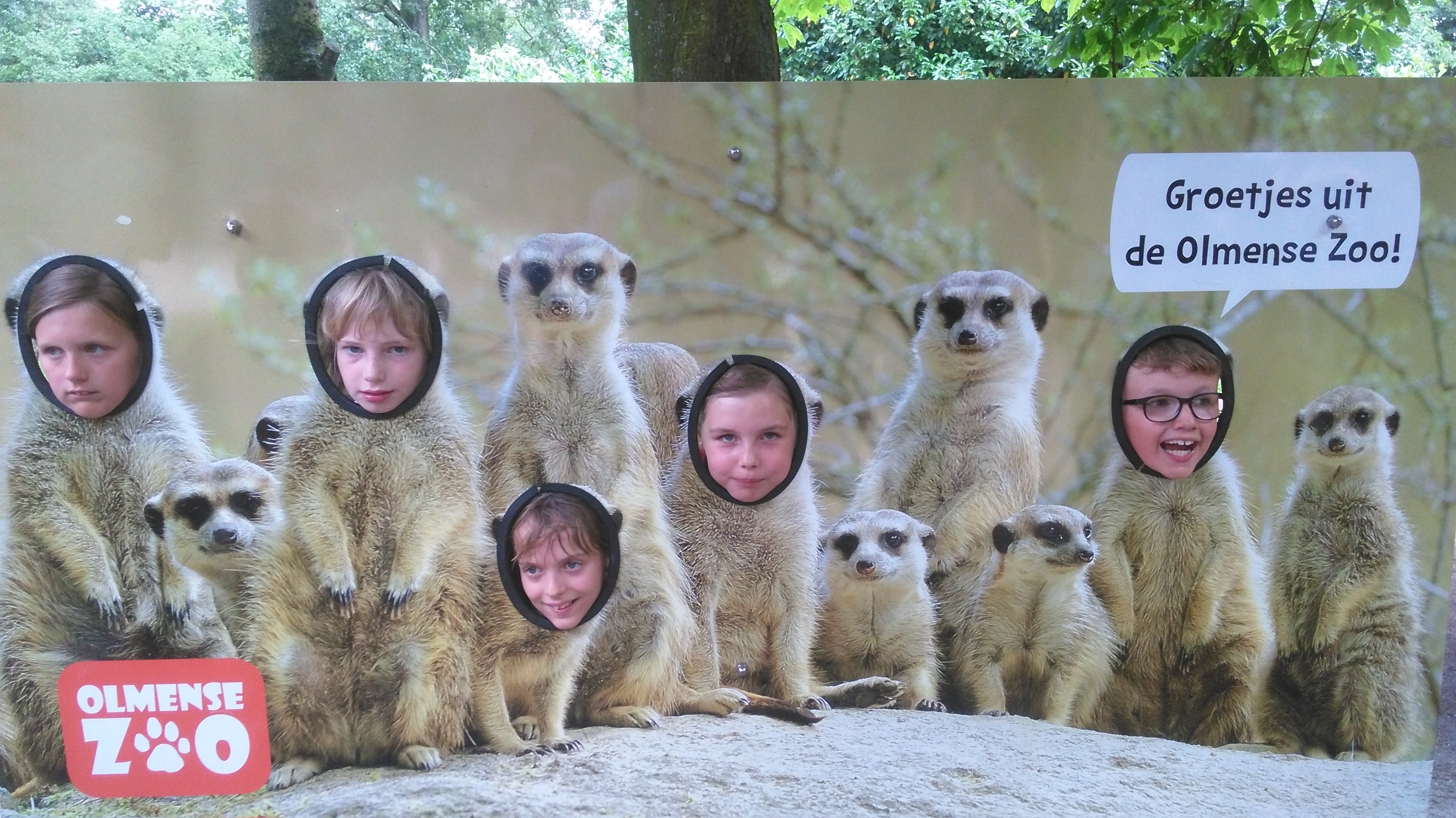 Het vierde leerjaar houdt een spreekbeurt in de Olmense Zoo!