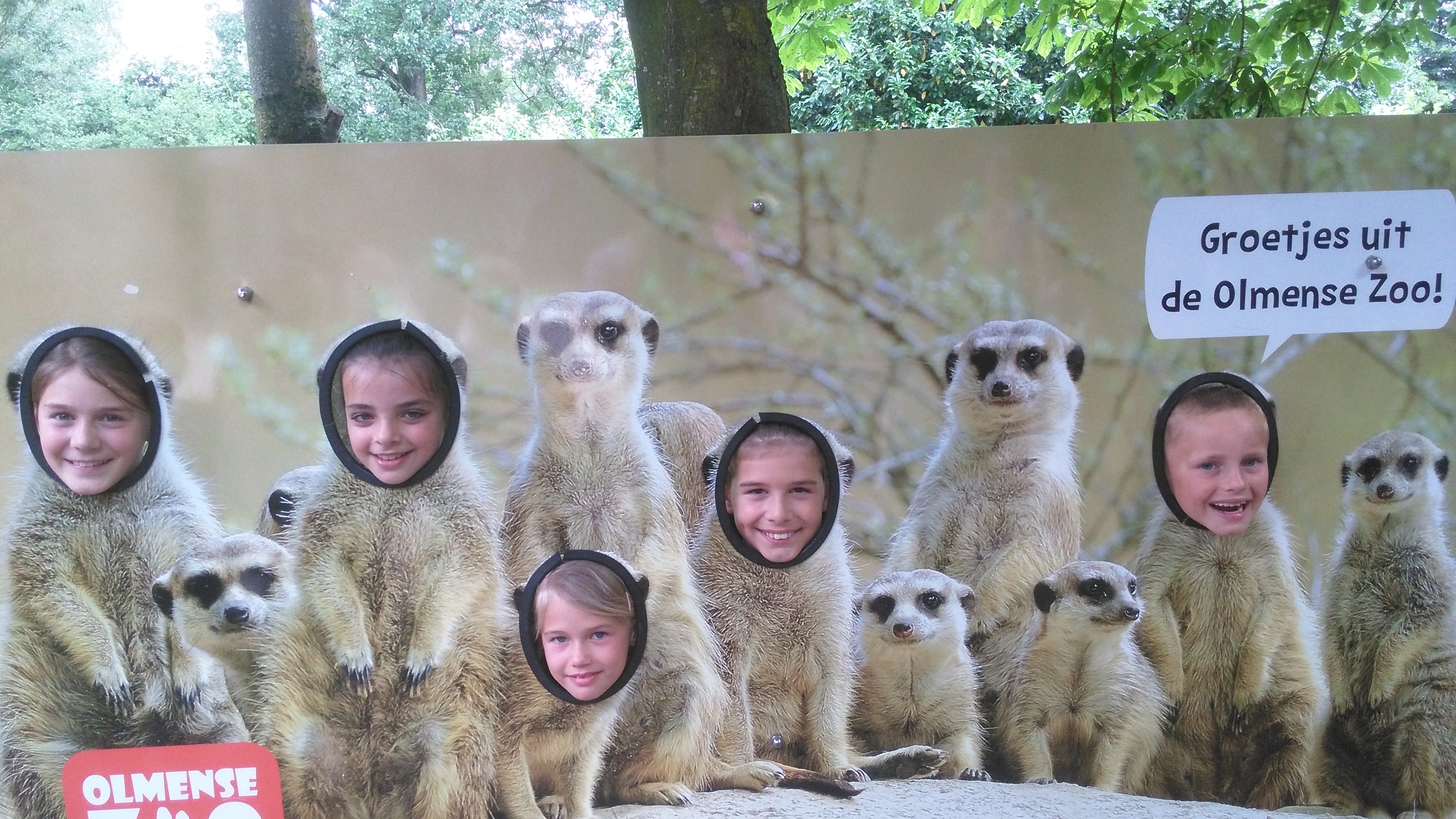 Het vierde leerjaar houdt een spreekbeurt in de Olmense Zoo!