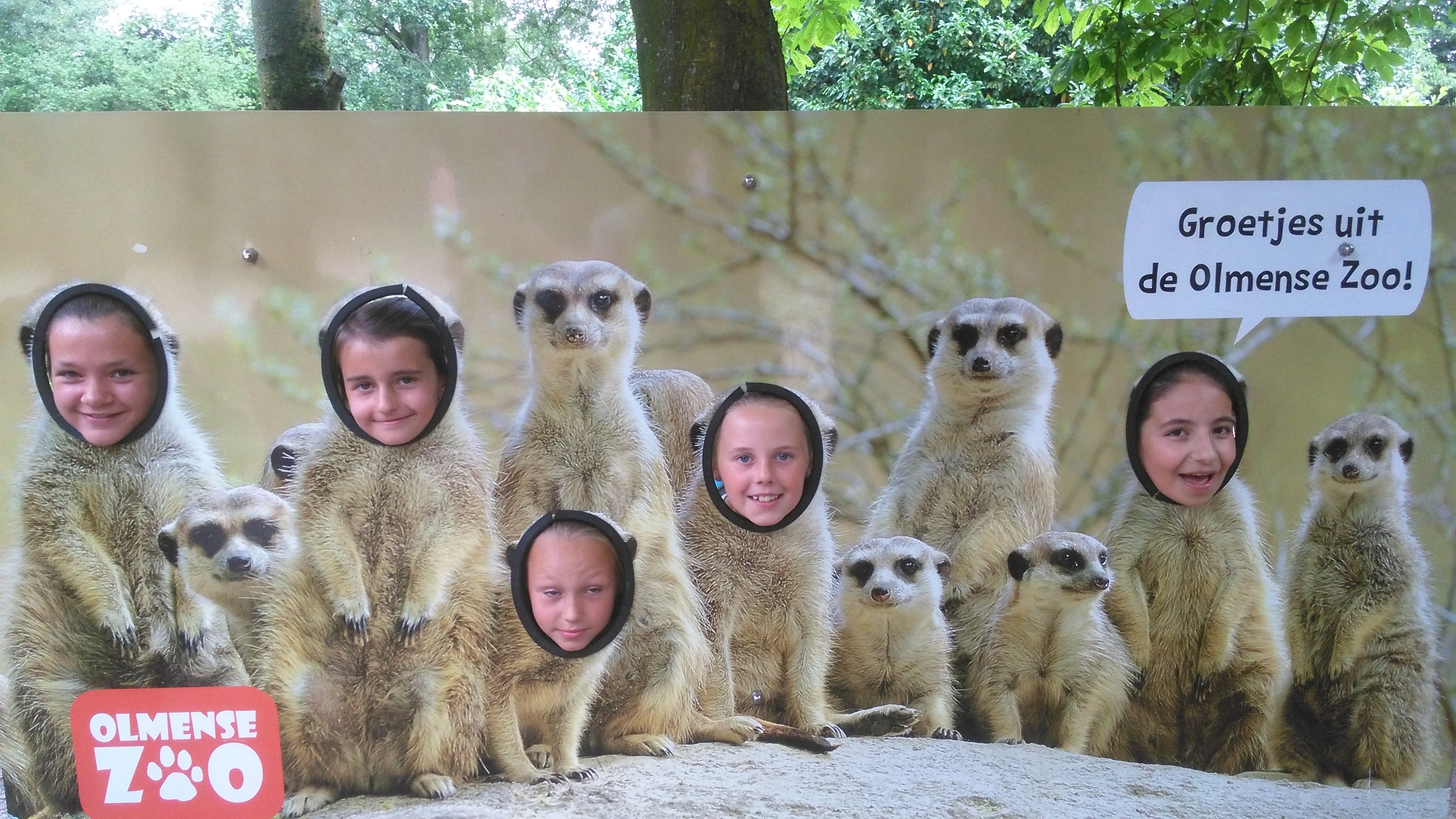 Het vierde leerjaar houdt een spreekbeurt in de Olmense Zoo!