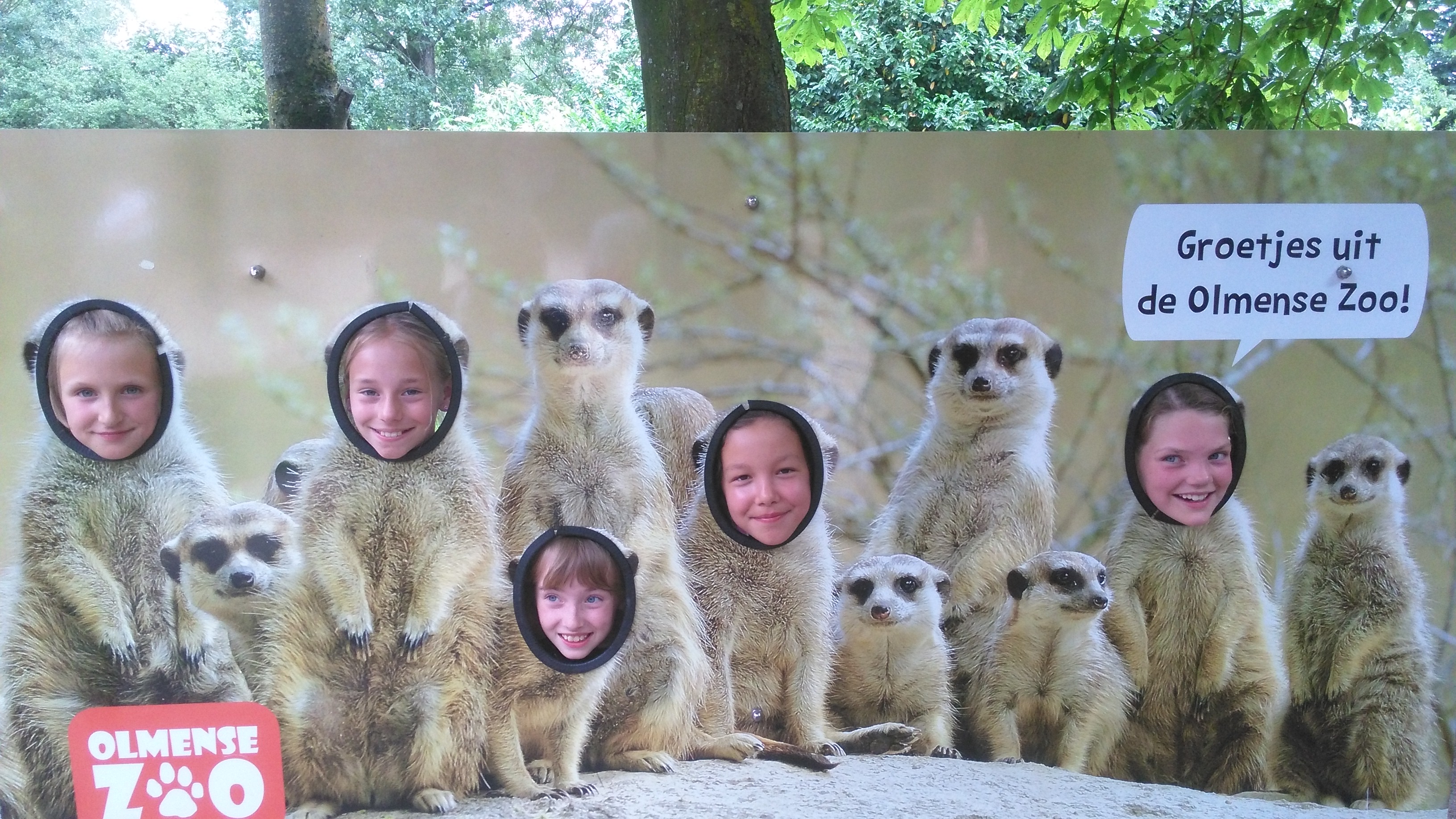 Het vierde leerjaar houdt een spreekbeurt in de Olmense Zoo!